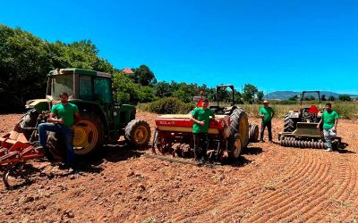 Técnico/a de Produção Agropecuária